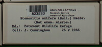 Image Associated With the Occurence